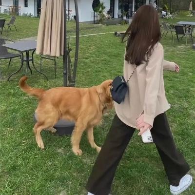 美丽长情